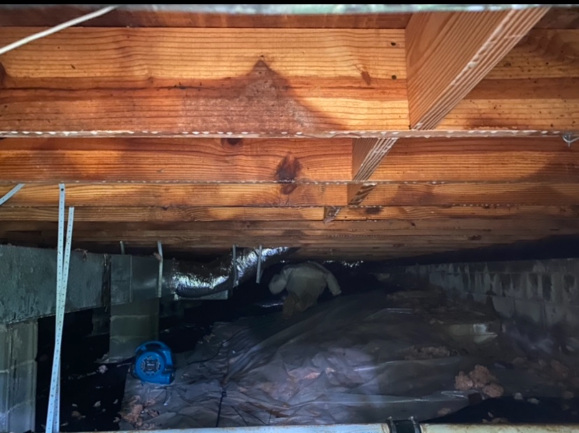 Crawlspace wood restoration